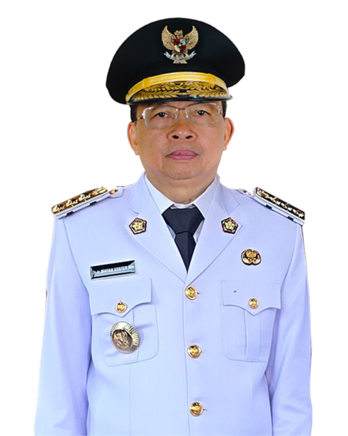 I Wayan Koster