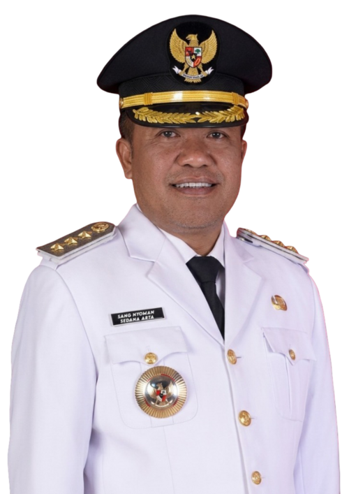 Sang Nyoman Sedana Arta